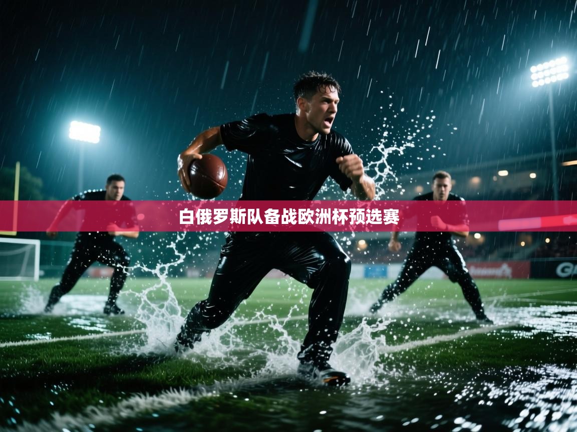 白俄罗斯队备战欧洲杯预选赛  第1张