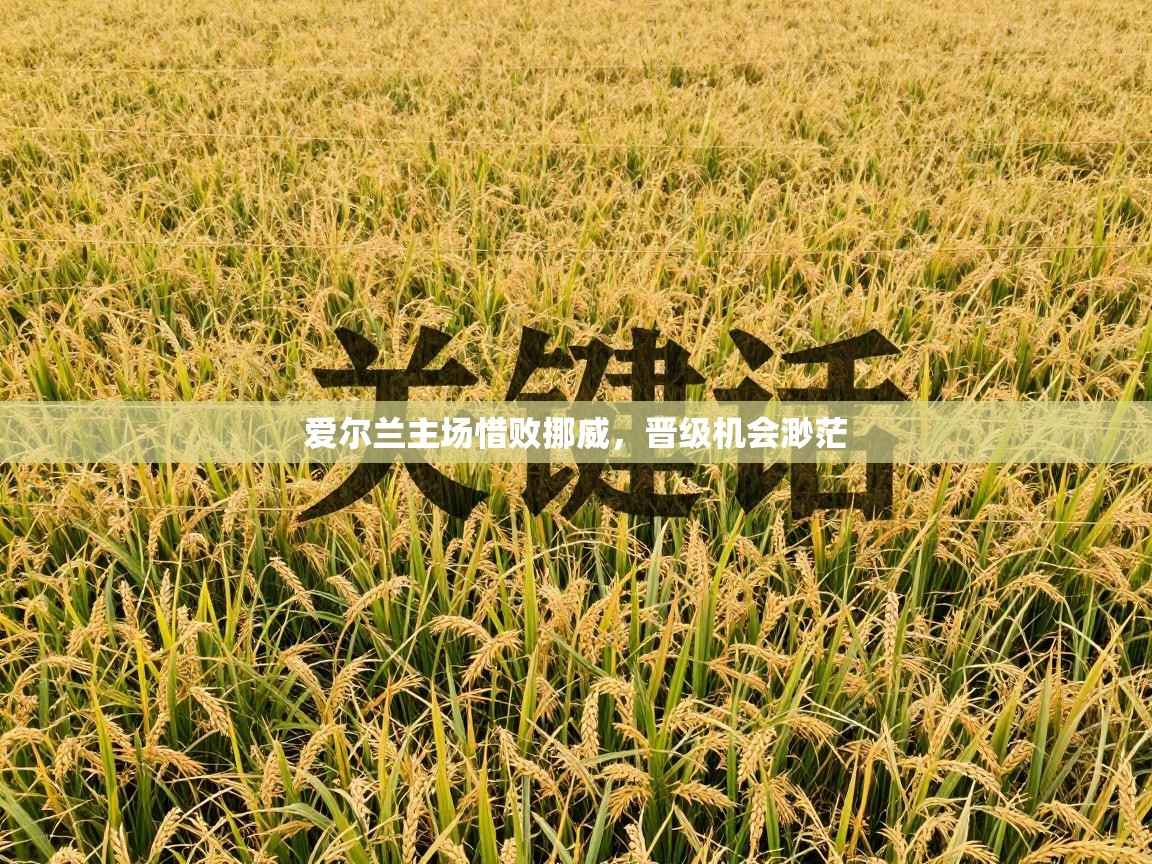 爱尔兰主场惜败挪威，晋级机会渺茫  第1张