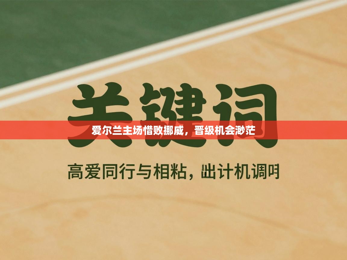 爱尔兰主场惜败挪威，晋级机会渺茫  第2张