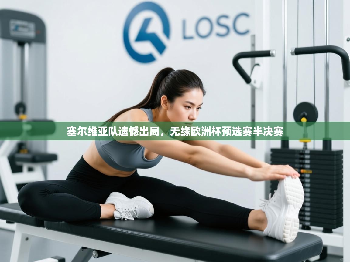 塞尔维亚队遗憾出局,无缘欧洲杯预选赛半决赛 第2张