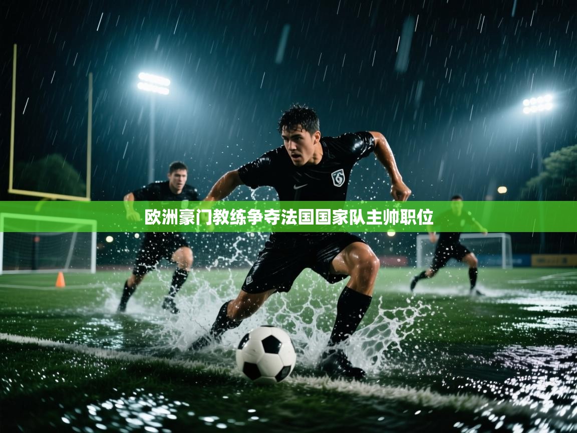 欧洲豪门教练争夺法国国家队主帅职位  第1张