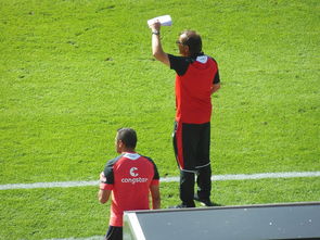 开云体育在线入口-汉堡主场输给了科隆实现三连败，背后的深层原因剖析